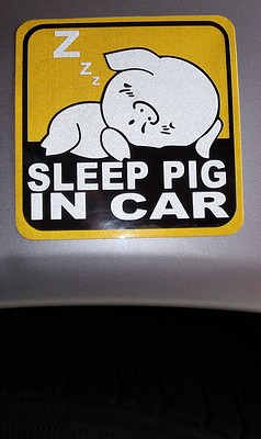Sleep pig in car decal
