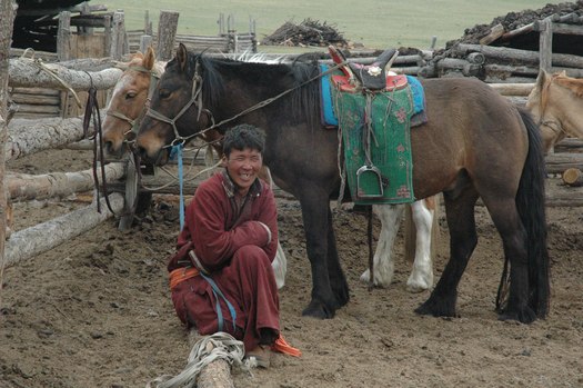 Man with Mongolian clothes and horses