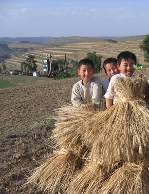 Ningxia boys in field