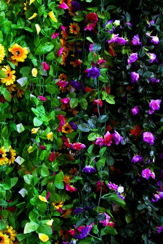 Chinese Flower Market