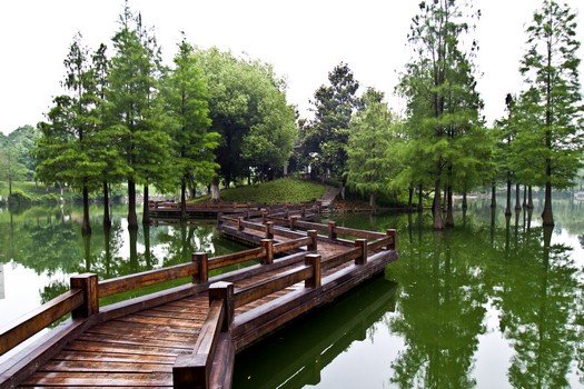 Chinese pond bridge