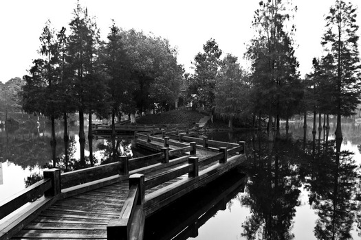 Pathway on Chinese pond