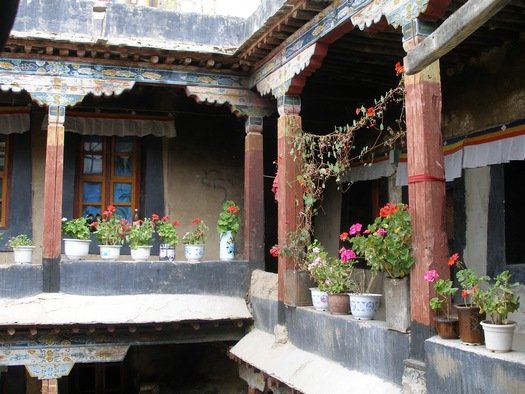 Potted flowers on Tibetan balcony