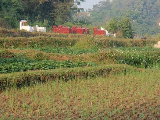 Vietnamese graves