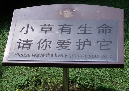 Please leave the lively grass in your care