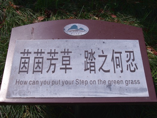 Funny Chinese sign