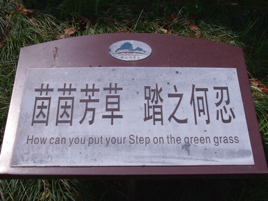 How can you put your step on the green grass?