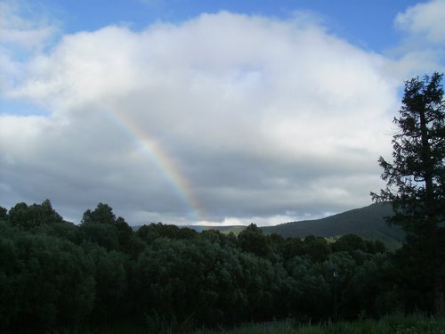 Mongolia rainbow over forest and mountain