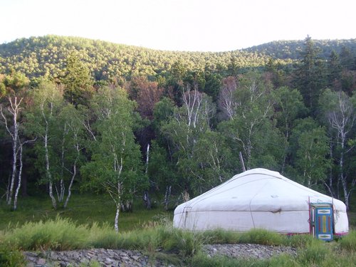 Mongolian ger by forest