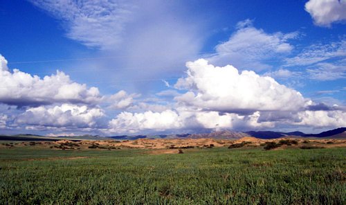 Mongolian grassland at Hustai