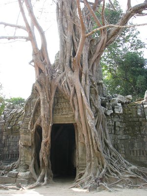 Angkor Wat archway