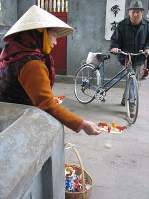 Vietnam street peddler