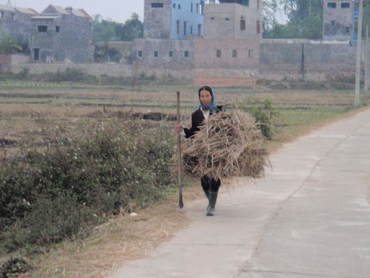 Vietnamese farmer