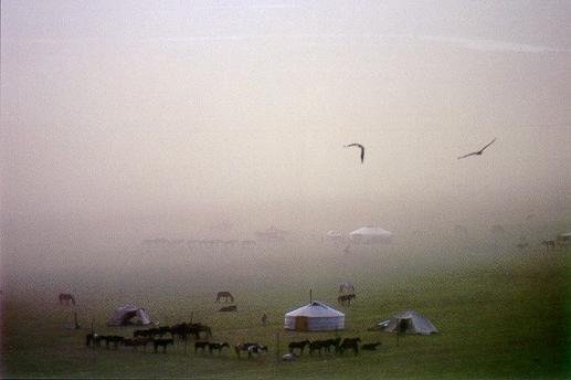 Gers and horses in Mongolian aimags