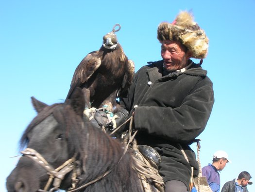 Kazahk and falcon on Mongolian horse
