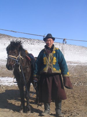 Horse in Mongolia