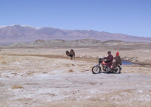 Camel and other transportation in Gobi Desert