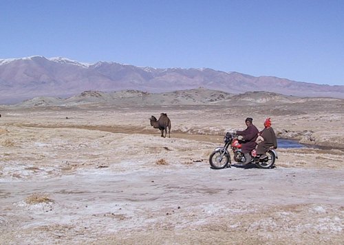 Camel and other transportation in Gobi Desert