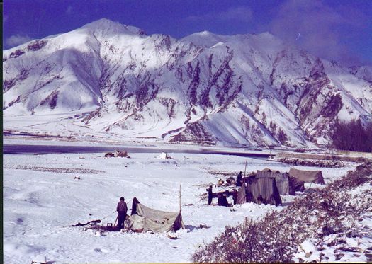 Tibetan nomad tents
